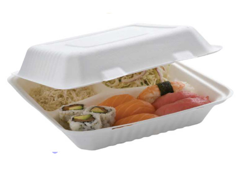 LunchBox Bagasse 1 Compartiment X50