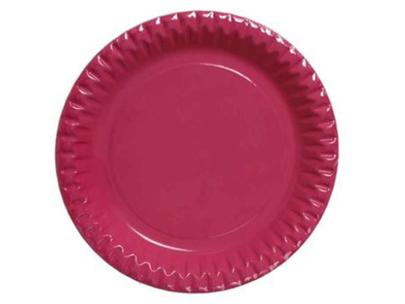 ASSIETTES PLATES Carton Ø23cm X10 - Fuchsia - DOPLA