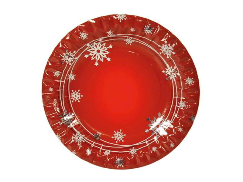 ASSIETTES PLATES Carton Ø23cm X10 - Neige - DOPLA