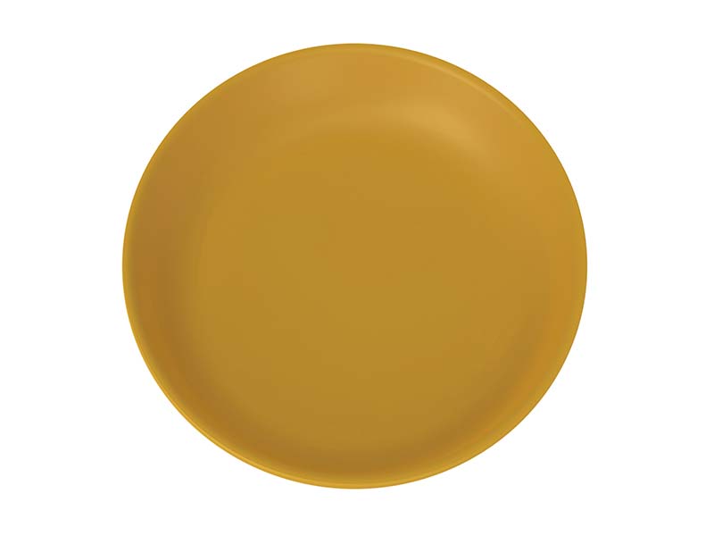 Assiette Minéral Plastique Réutilisable Premium Or 20cm