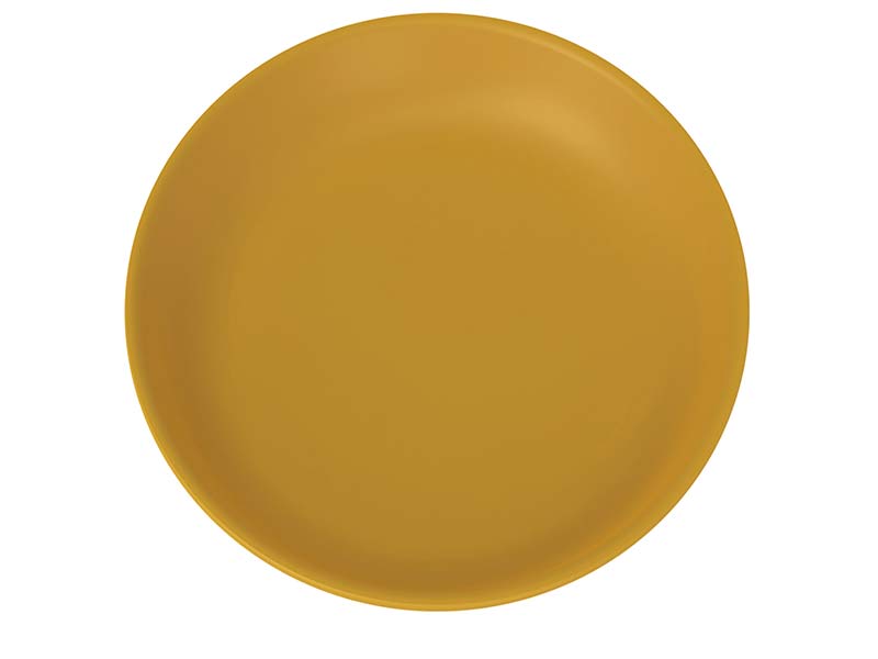 Assiette Minéral Plastique Réutilisable Premium Or 27cm